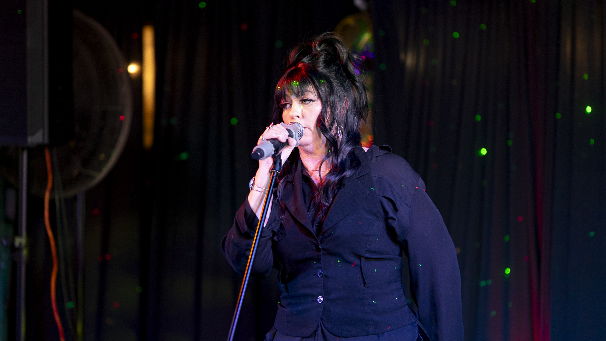 Songbird Karaoke show photo