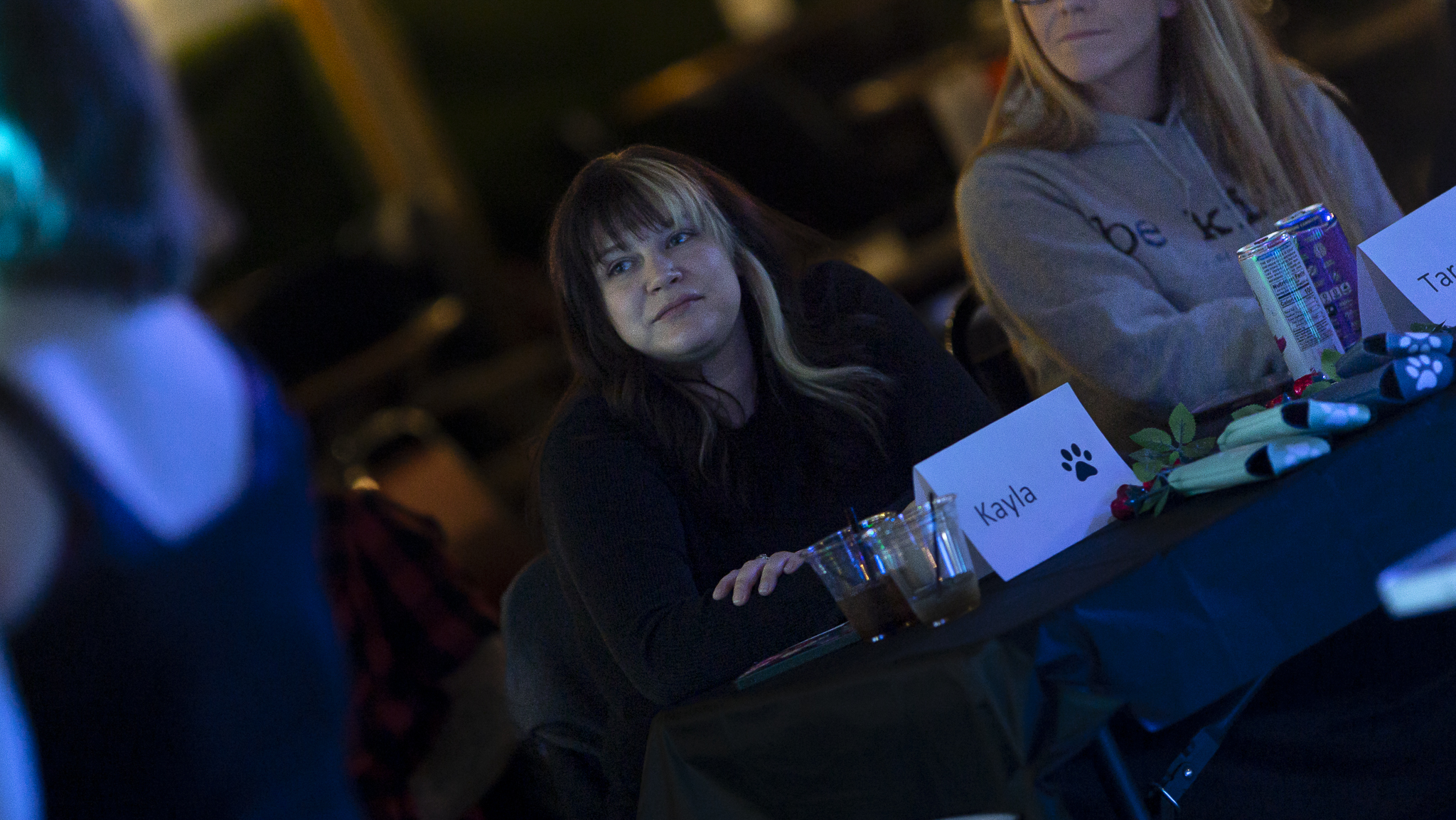 Songbird Karaoke show photo