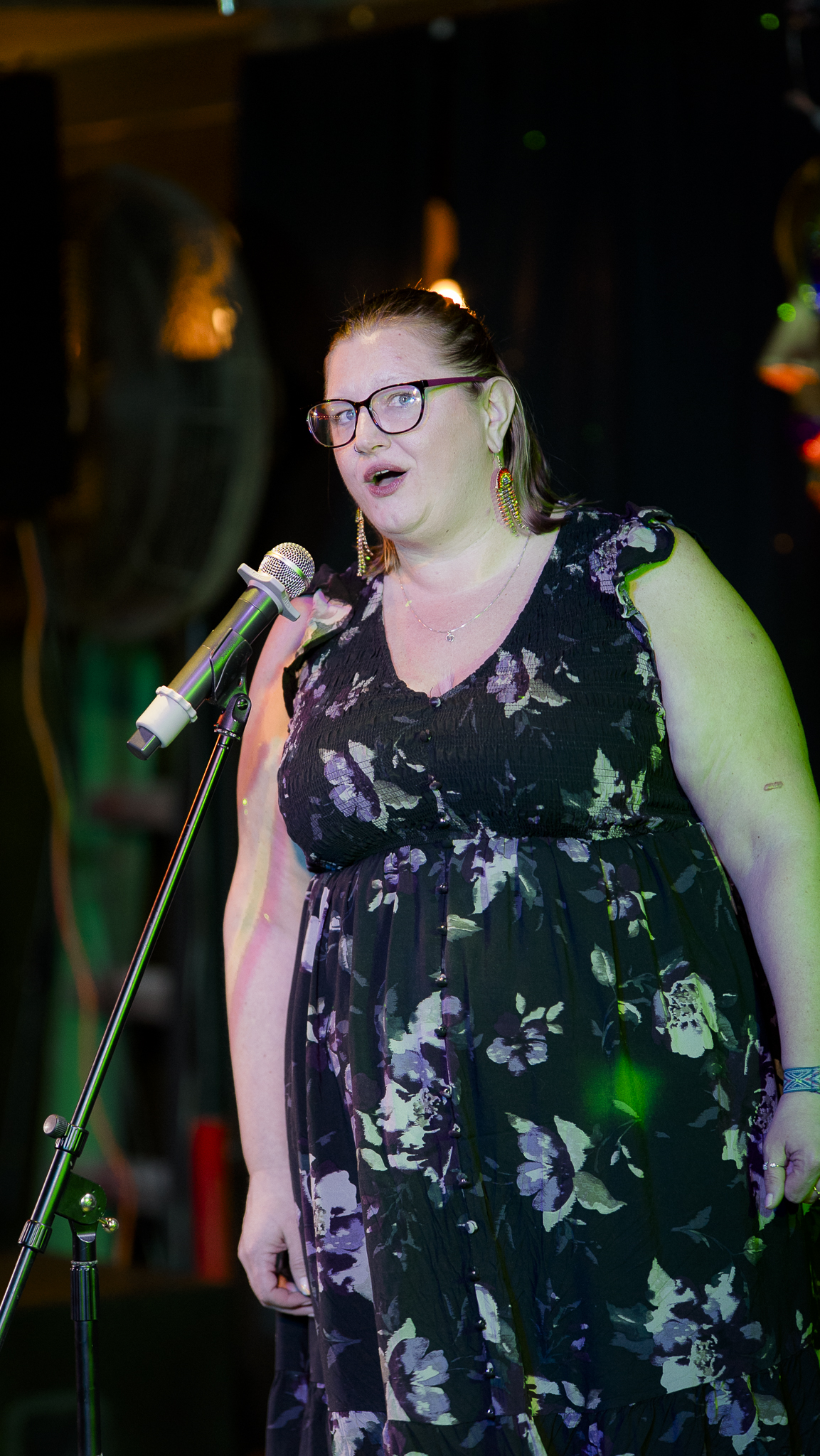 Songbird Karaoke show photo